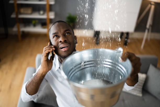 Best Residential water damage restoration  in Fruitland, MD