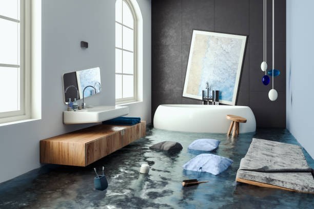 Best 24/7 water damage repair  in Fruitland, MD
