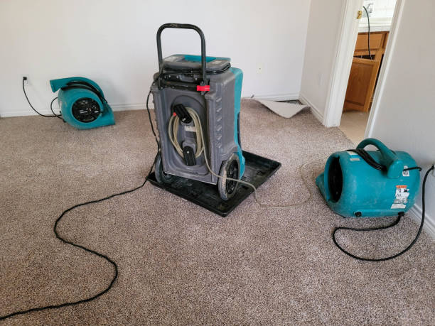 Best Water damage restoration insurance claims  in Fruitland, MD