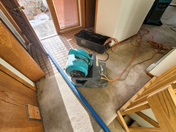 Best Sewage cleanup and water damage restoration  in Fruitland, MD