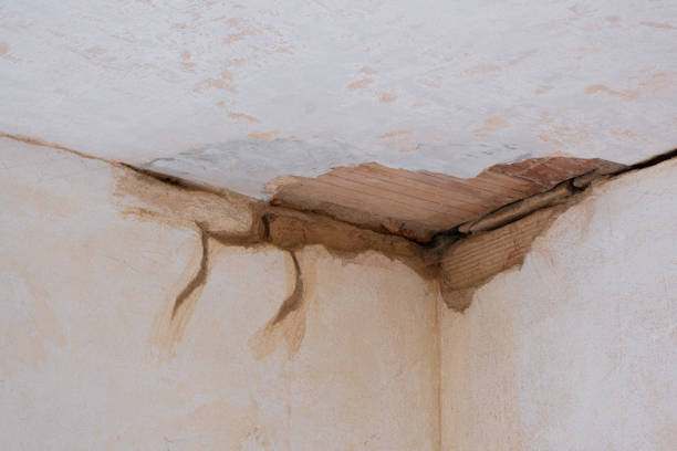 Best Ceiling water damage repair  in Fruitland, MD