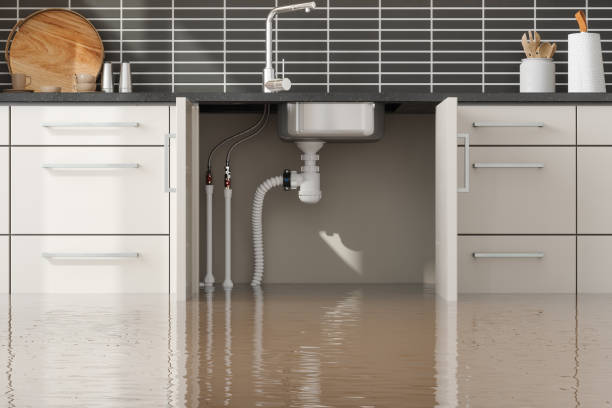 Trusted Fruitland, MD Water damage restoration Experts