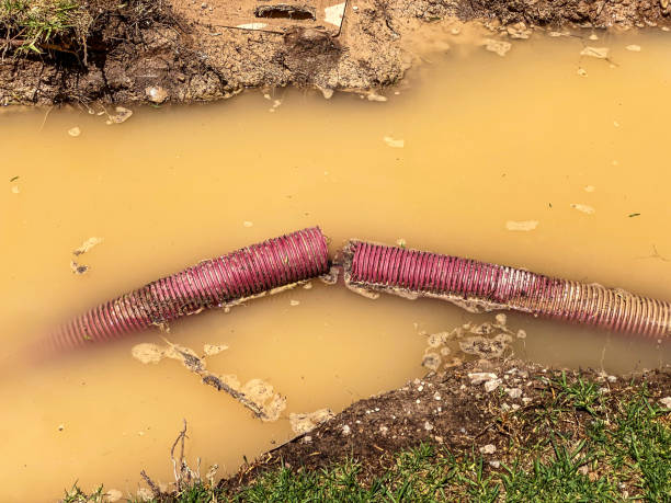 Best Water damage contractors near me  in Fruitland, MD