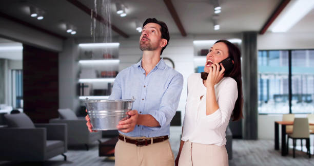 Local water damage restoration in Fruitland, MD