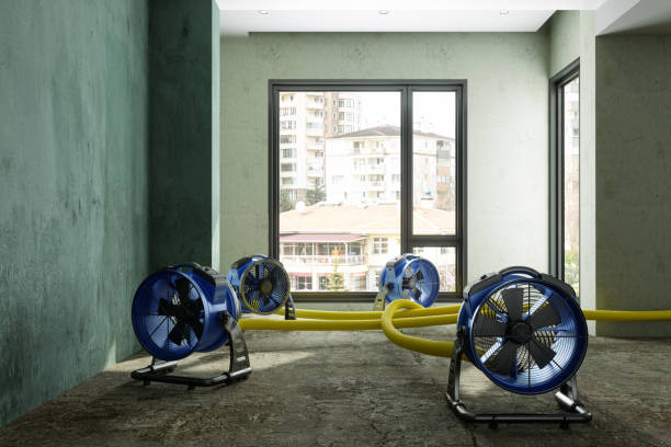 Best Commercial water damage restoration  in Fruitland, MD